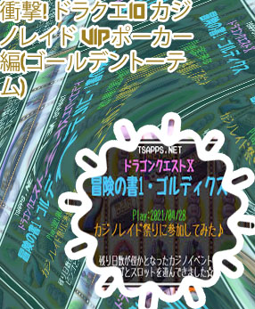 カジノ レイド